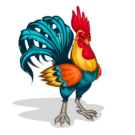 Vector Illustration Of A Rooster Download Free Vector Art Stock