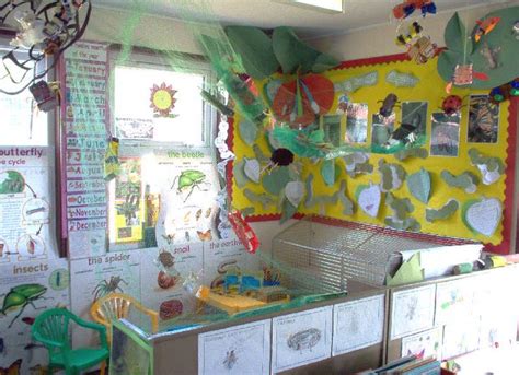 Minibeast Research Role Play Area Classroom Display Photo Photo
