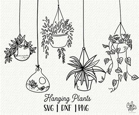 Hanging Plants Svg Hand Drawn Clipart Pots Terrarium Etsy Doodle