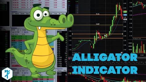 Alligator Indicator By Bill Williams Apple Investor