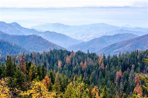 Sequoia National Park Mountain Landscape At Pmzepsx Min Agentur Intern