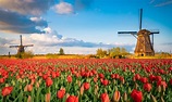 Qué ver en los Países Bajos | 10 Lugares Imprescindibles