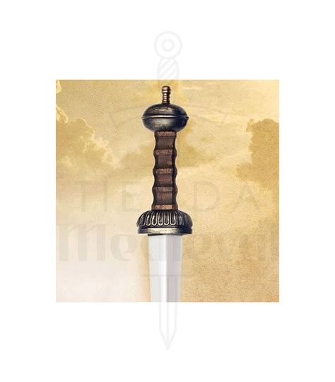 Gladius Sword Roman Centurion Swords Cat B Swords Functional