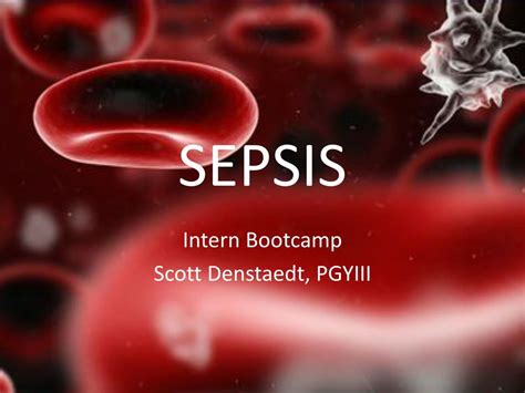 Ppt Sepsis Powerpoint Presentation Free Download Id4203938