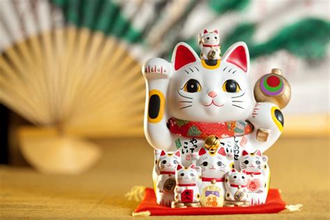 Feng Shui Tips Where To Keep Lucky Cat In Home