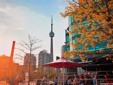 15 Must Visit Toronto Attractions And Travel Guide Tommy Ooi Travel Guide