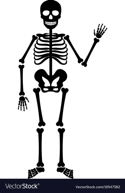 Halloween Black Skeleton Royalty Free Vector Image