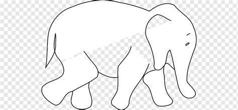 Cara menggambar harimau wikihow via id.wikihow.com. Hewan Sketsa Hewan Gambar Gajah