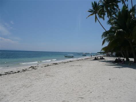 Alona Beach Panglao Island Bohol Photo