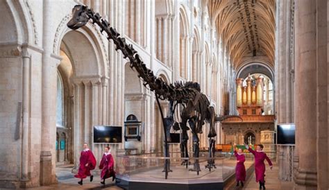 Dippy The Dinosaur Is Returning To The Natural History Museum Next Year