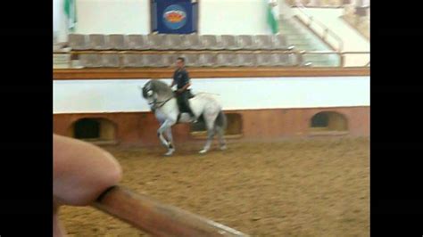 Andalucian Horses Cadiz D Xxx Youtube