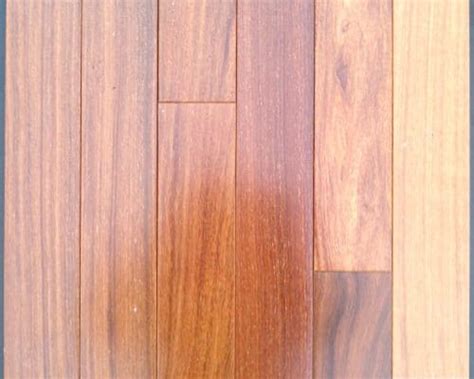 Wood Types Hardwood Flooring Rees Custom Floors