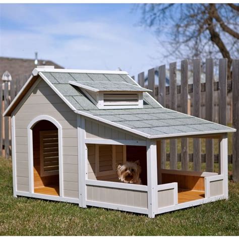 9 Best In The Dog House Images On Pinterest Doggies Dog Houses And