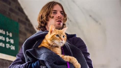 A Street Cat Named Bob The Movie Kittymews Cat News From Around