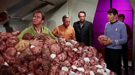 Til Leicester Physics Graduates Concluded That Star Treks Tribbles Would Fill The Uss