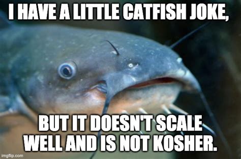 I Have A Little Catfish Joke Imgflip