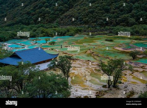The Colorful Pools In Huanglong Valley In Sichuan Province China