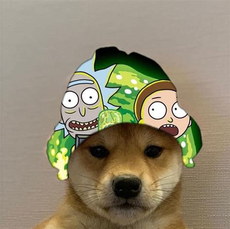 Rick And Morty Dogwifhat In 2020 Aesthetic Anime Ghost