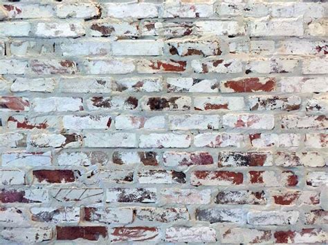 Step By Step Guide How To Whitewash Or Limewash A Brick Wall