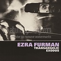 Album Art Exchange - Transangelic Exodus by Ezra Furman - Album Cover Art