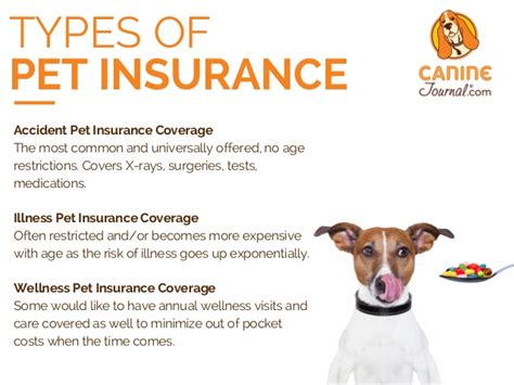 Read our unbiased and frequently updated pet insurance reviews. Pet Insurance Reviews