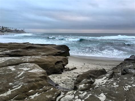 They hang on dm for awhile here [. La Jolla Cove- High Tide vs Low Tide | The San Diego Woman
