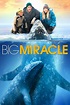 Big Miracle (2012) - Posters — The Movie Database (TMDB)