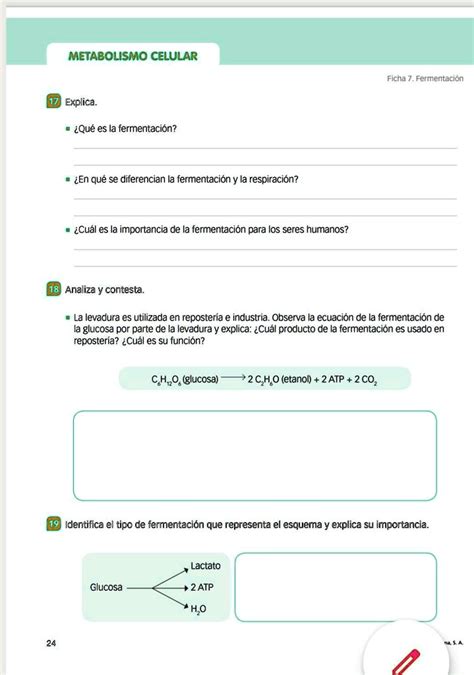 SOLVED Ayudaaaaa Porfavor METABOLISMO CELULAR Ficha Fermentacion