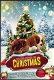 Project: Puppies for Christmas (2019) - IMDb