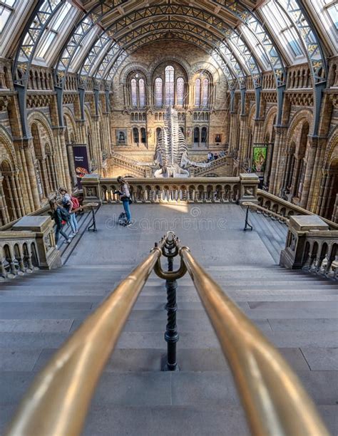 Natural History Museum In London United Kingdom Editorial Stock Photo