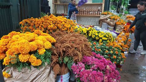 Are there any other wholesalers in this market who are finding enough deals? Mexican Marigolds for Dia De Los Muertos wholesale flower ...