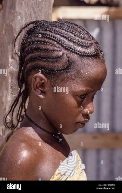 Young Djerma Zarma Girl With Hairdo And Nose Pin Tonkassare Niger