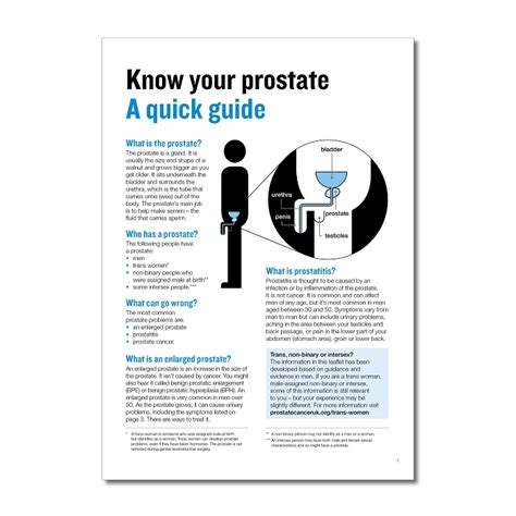 Display Box Know Your Prostate A Quick Guide Prostate Cancer UK Shop