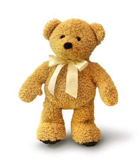 Walking Teddy Bear Stock Photo Image Of Stuffed Walking 14435696