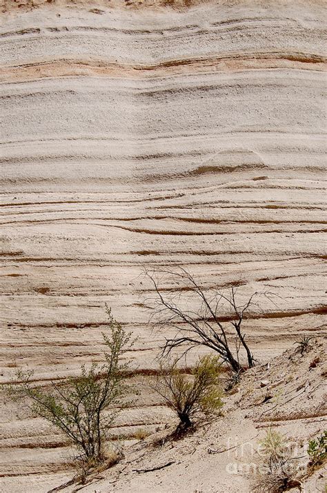 Sculpted By Nature Photograph By Vicki Pelham Fine Art America