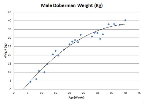 Growth Chart Of Puppy Weight And Height Page 20 Doberman Forum