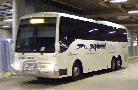 Greyhound Australia Bus Image Gallery
