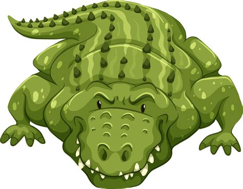 Crocodile Clipart Zoo Animal Cartoon Alligator Front View 1280x1011