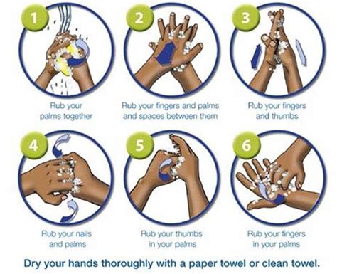 6 Steps To Washing Your Hands Proper Hand Washing Hand Hygiene Hand