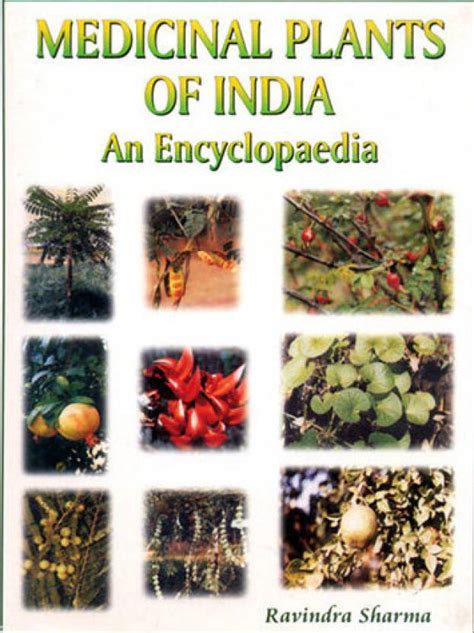 Medicinal Plants Of India An Encyclopedia Buy Medicinal Plants Of