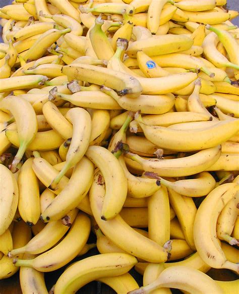 Genetically Modified Bananas Are Neither Black Nor White Science