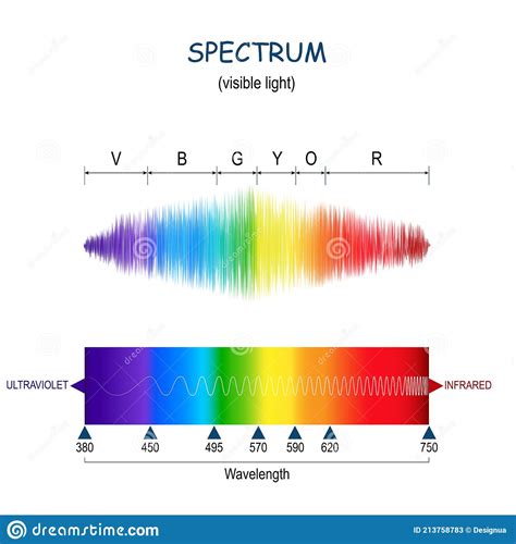Visible Light Spectrum Color Waves Length Perceived By Human Eye