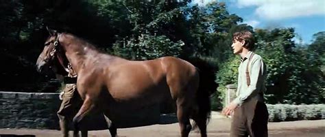 War Horse Teaser Trailer Vídeo Dailymotion