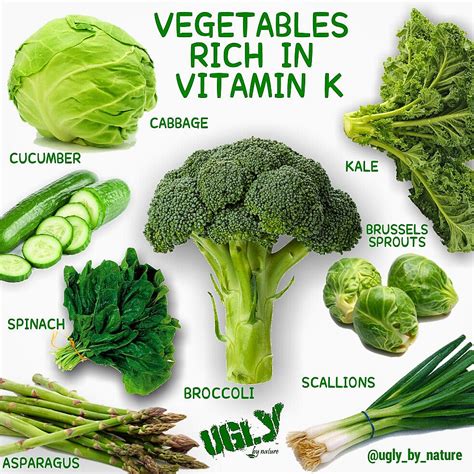 Vegetables Rich In Vitamin K Ugly By Nature