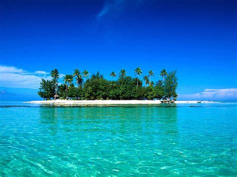 An Island In The Ocean With Palm Trees On Its Sides And Blue Water