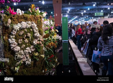 The 2019 PHS Philadelphia Flower Show, “Flower Power,” paying tribute