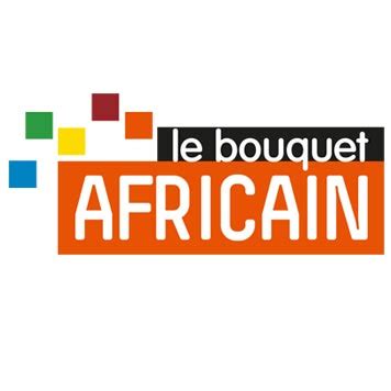 Sprawdź kanały i pakiety oferowane w ramach orange tv. Pack Africain, liste des chaines TV - Orange ADSL / Fibre