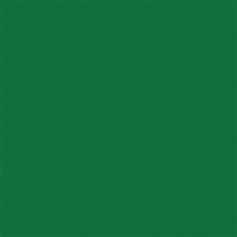 Lee Filters Primary Green Color Effect Filter 48 X 25 139r