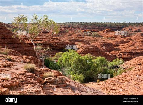 Australia Northern Territory Red Rock Formations At Kings Canyon