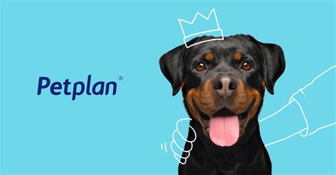 Like most policies from other providers, your asda pet insurance policy will not cover any medical condition or symptoms that your pet had before the start date of your policy or any that occur during the first 14 days of your insurance cover. Does pet insurance cover pre-existing conditions?